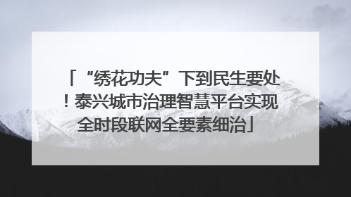 “绣花功夫”下到民生要处！泰兴城市治理智慧平台实现全时段联网全要素细治